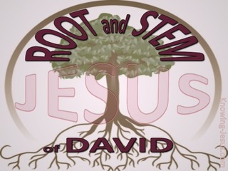 Revelation 22:16 Root And Stem Of David (maroon)